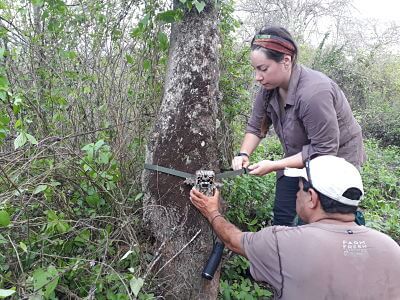 imagen de proyectos ambientales