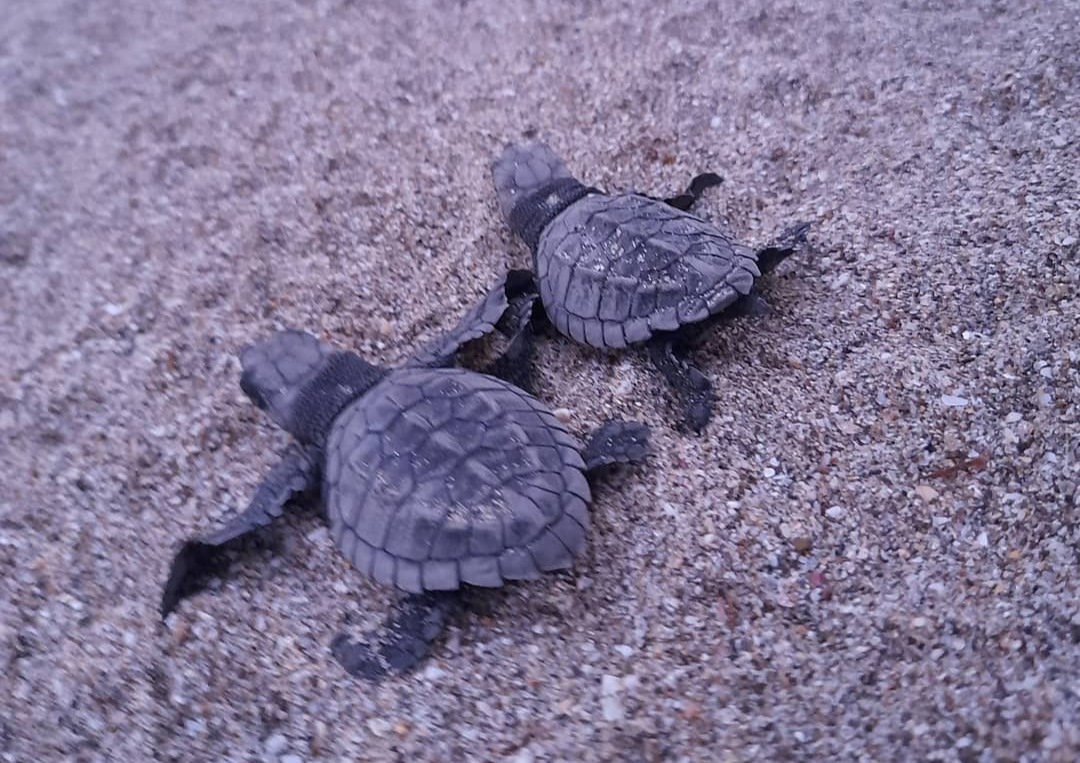 imagen de Rancho Xanadu