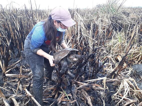 imagen incendio en la segua