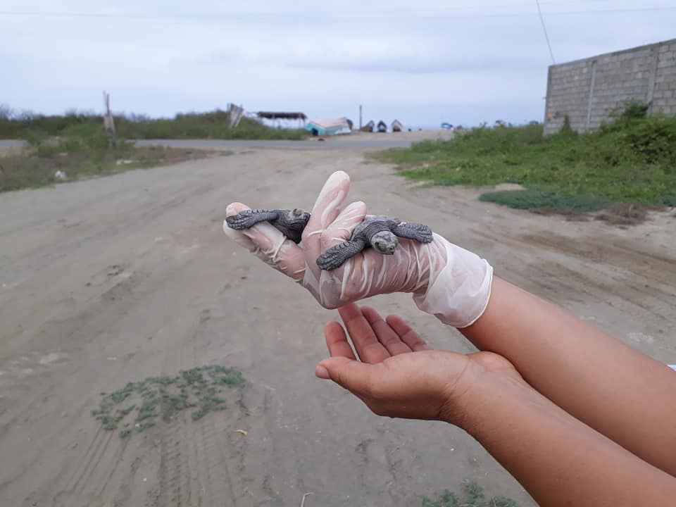 imagen de Rancho Xanadu